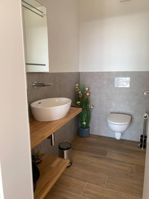 Ferienhaus Mountain View Six50 Mit Sauna Und Kamin In St. Andreasberg Sankt Andreasberg Ngoại thất bức ảnh
